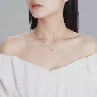 DIOR Rose des Vents 18K