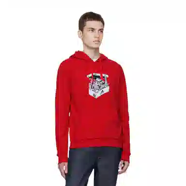 adidas Hoodie Red