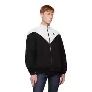 Puma Iconic logo