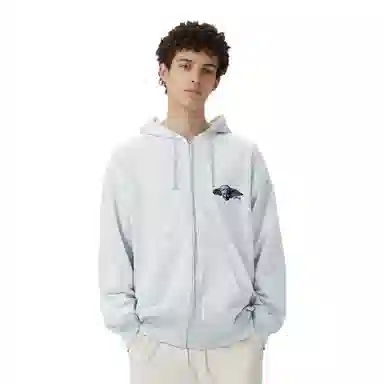 Stussy FW24 HYPNOS ZIP HOODIE