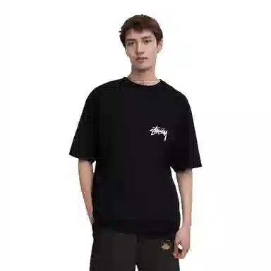 Stussy Coastline Tee