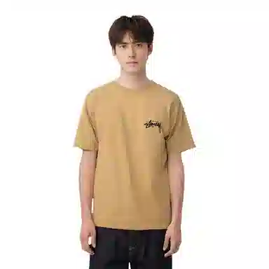 Stussy Big Link Tee T
