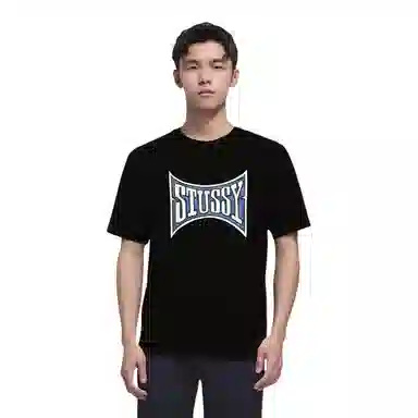 Stussy SS23 Champion Pigment Dyed Tee LogoT