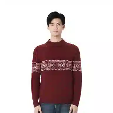 恒源祥 纯羊毛半高领羊毛衫 浮线提花休闲毛衣 男款
