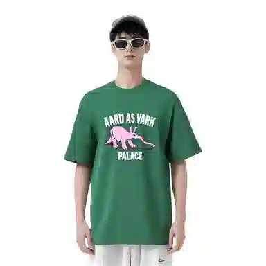 PALACE FW22 Aard As Vark T-shirt Green T