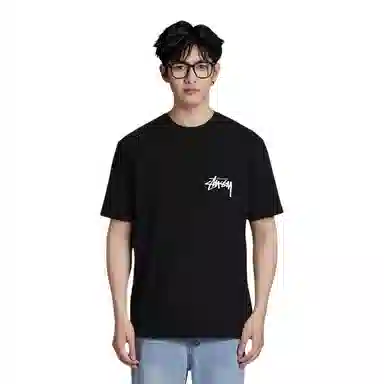 Stussy Painter Dyed Tee T