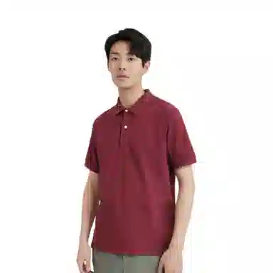 UNIQLO Polo