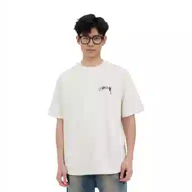 Stussy Arachnid Tee Pigment Dyed T