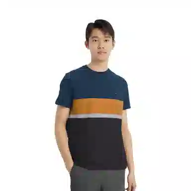 Tommy Hilfiger T