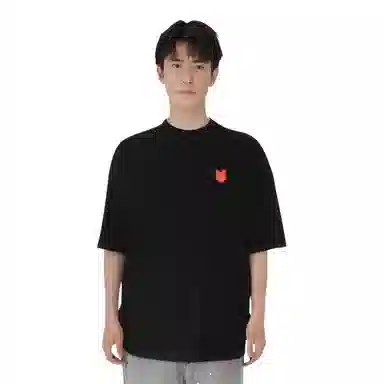 WILLIAM FOXSONS T