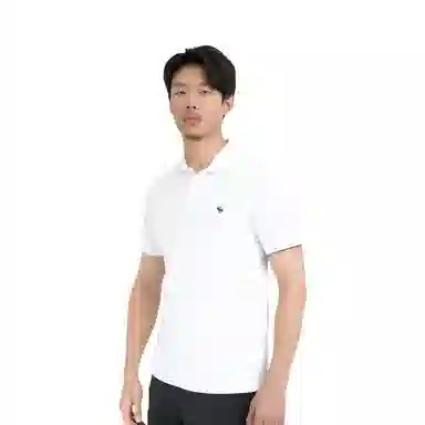 AbercrombieFitch Polo