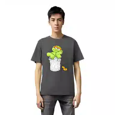 UNIQLO x Sesame Street x kaws T