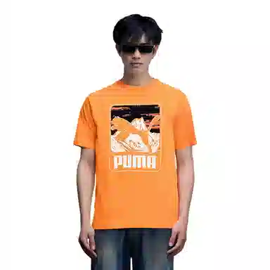 PUMA GRAPHICS MOUNTAIN T