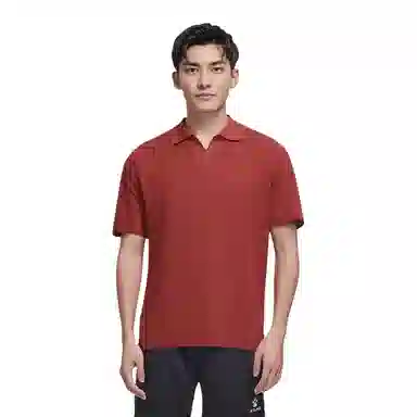 ZARA Polo