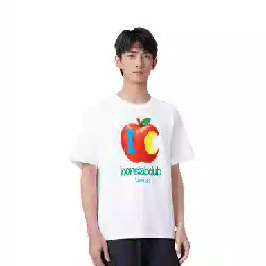 ICONS Lab ICS T