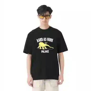 PALACE FW22 Aard As Vark T-shirt T