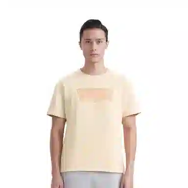 levis T