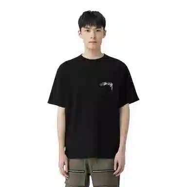 Stussy Arachnid Tee Pigment Dyed T