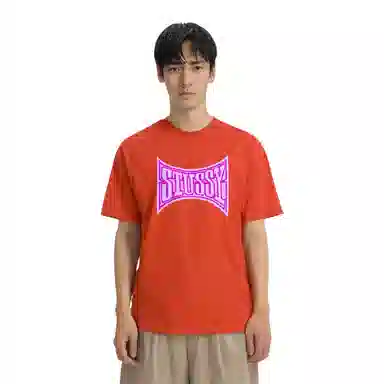 Stussy SS23 Champion Pigment Dyed Tee LogoT