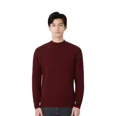 恒源祥 纯色半高领纯羊毛针织衫毛衣 男款