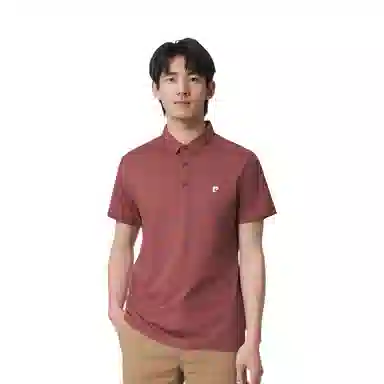 PIERRE CARDIN Polo