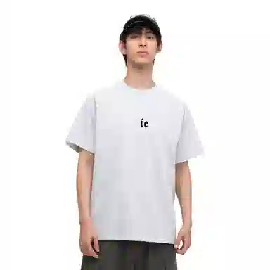 IE logoT