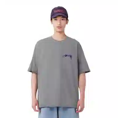 Stussy Arachnid Tee Pigment Dyed T