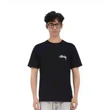 Stussy Higher State Tee T