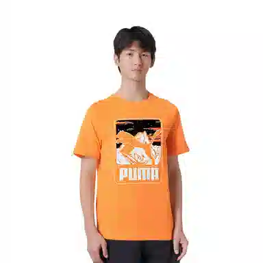 PUMA GRAPHICS MOUNTAIN T