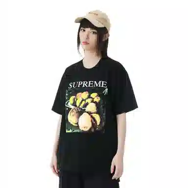 Supreme FW18 Still Life Tee Black