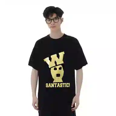 SANTASTIC T