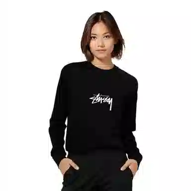 Stussy FW23 Small Stock LS Tee