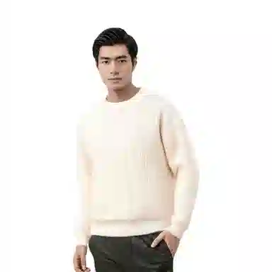 羽浅 日系复古斑马纹毛衫春秋时尚宽松圆领情侣装套头外套冬季潮流百搭针织衫 男女同款