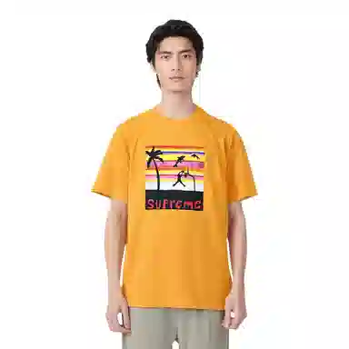 Supreme Dunk Tee