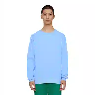 Champion Pullover Crewneck Sweatshirt