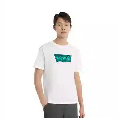 levis logoT