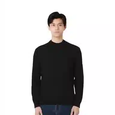 恒源祥 纯色半高领纯羊毛针织衫毛衣 男款