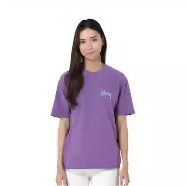 Stussy T
