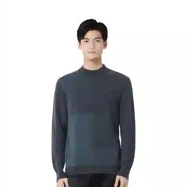 恒源祥 纯羊毛半高领加厚拼色提花针织毛衣 男款