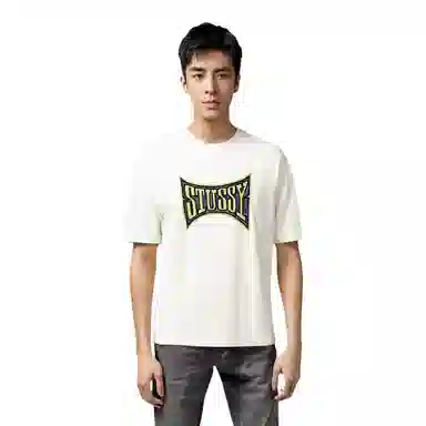 Stussy SS23 Champion Pigment Dyed Tee LogoT