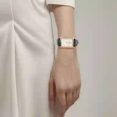 LONGINES 18k 17.7*27mm L5.258.9.87.0