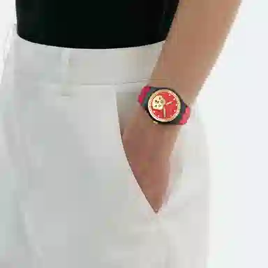 SWATCH 30 40-43mm SO32Z107