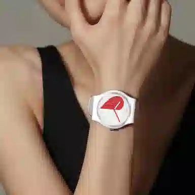 SWATCH 41mm SO29Z113