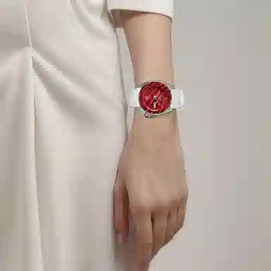 Seiko 5 Sports Evisen SRPF95