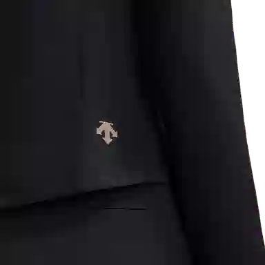 DESCENTE SKI STYLE logo