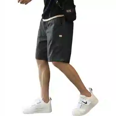 tonlion