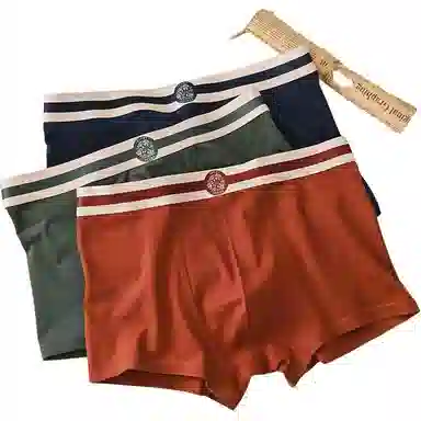 贴身领域 纯棉抗菌透气平角内裤 男款