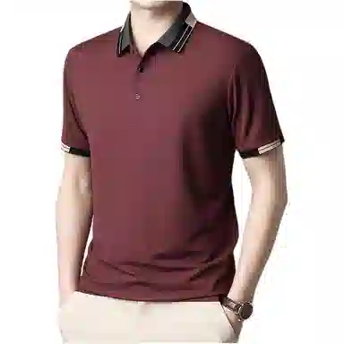 PIERRE CARDIN POLOtPolo