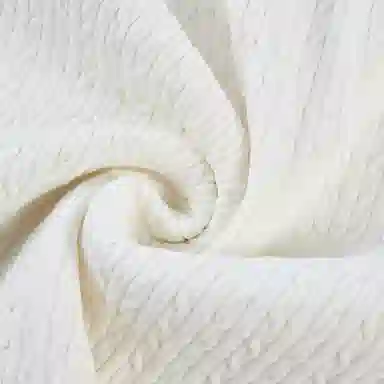 KARL LAGERFELD FW25 V