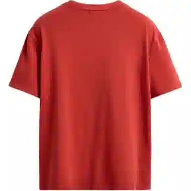 ZARA T